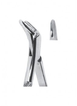 Extracting Forceps